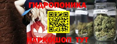 mdpv Ярославль
