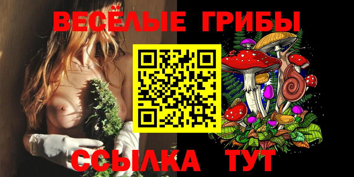 Борзя  Псилоцибиновые грибы Psilocybine cubensis  Вход с VPN  Галлюциногенные грибы мицелий 