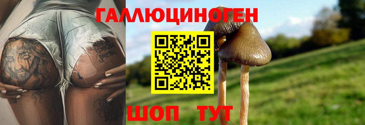 Марихуана  Борзя  Вход с VPN  Мефедрон   Гашиш  COCAIN 